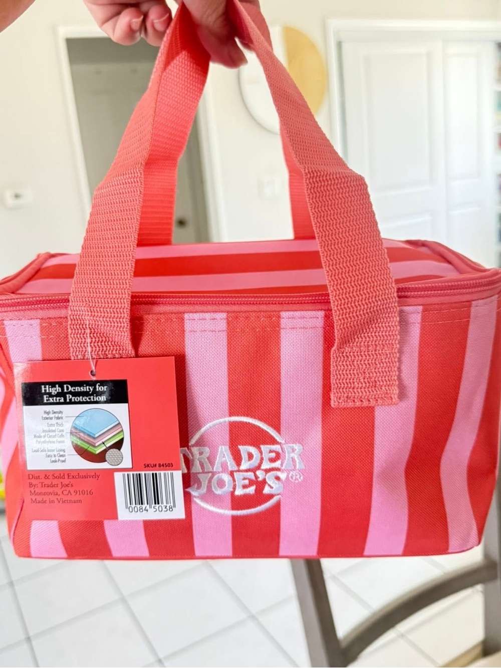 Trader Joe's 2026 Striped Mini Insulated Tote Bag 1.5 gallons Red/ Hot Pink NWT